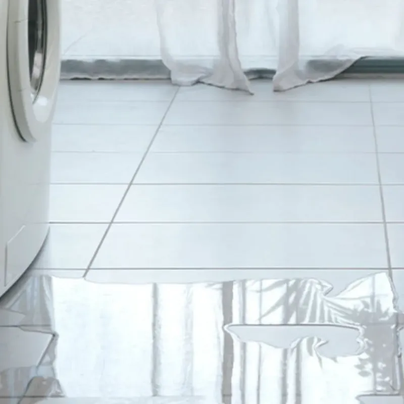 Appliance Leak Cleanup in Ouachita Parish, LA